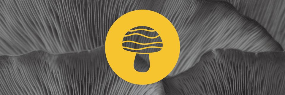 Project Mushroom waitlist onboarding has begun! π