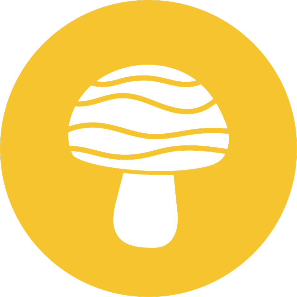 COVID justice + climate solidarity: Project Mushroom's latest